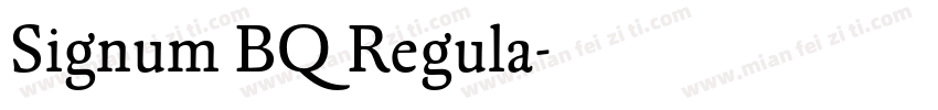 Signum BQ Regula字体转换
